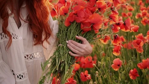 Close-up of hands young red-haired woman making bouquet of red poppy flowers Stock Footage 109348192