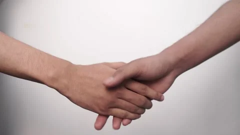 Close Up Handshake Business Stock Footage 219315546