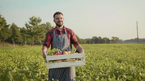 Close up handsome farmer is holding a box of organic vegetables walk look at Stock Footage 115485719
