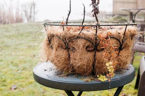 Close-up of a hanging basket planter lined with coconut coir fiber on a small Fotos de archivo