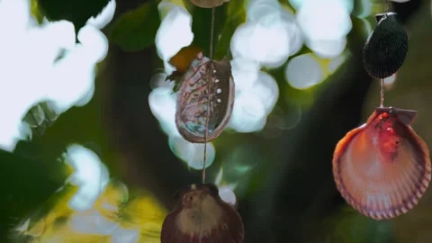 Close-up of a hanging mobile, crafted from shells and seashells from the Stock Footage 251878776