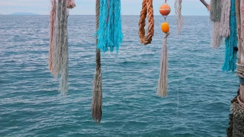 Close-up hanging from ropes on beach with ocean background. rope on background Stock Footage 237232879