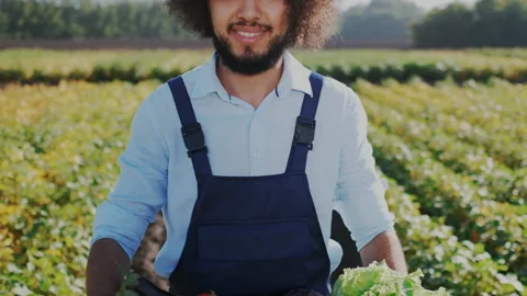 Close-up. Happy Farm Worker Standing on his Own Farm Holding Fresh Collected Stock Footage 148803408
