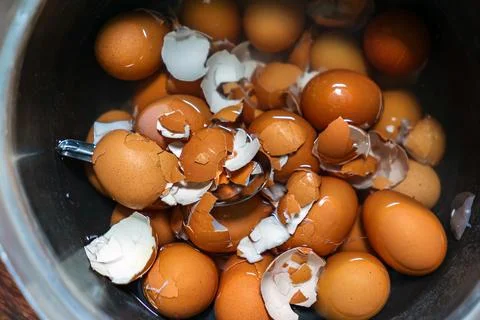 Close up of hard boiled chicken eggs being peeled in pot of water. Multiple.. Stock Photos