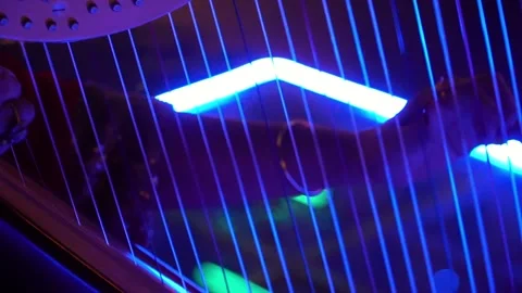 Close-up of Harp Performance Stock Footage 318303174