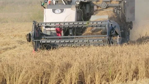 Close-up of harvester paddy field work Stock Footage 259544530