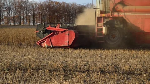 Close-up of Harvesting machine working in the field. Combine harvester Video stock 220809092