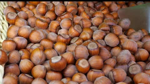 Close-up of haselnitz ling in a basket. Nuts are a health and nutrition food. Stock Footage 304987572