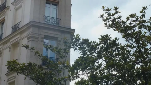 Close up of a Haussmann building in Paris with a tree in front Stock Footage 277013389
