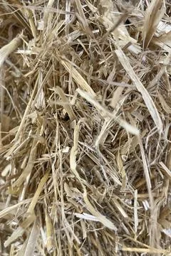 Close-up hay bale for background Stock Photos