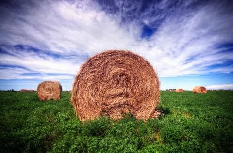 Close up of a hay bale in a field Stock Photos