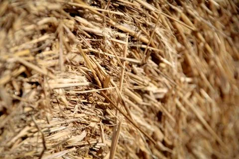 Close up of hay bale lying in open country in north Germany Stock Photos