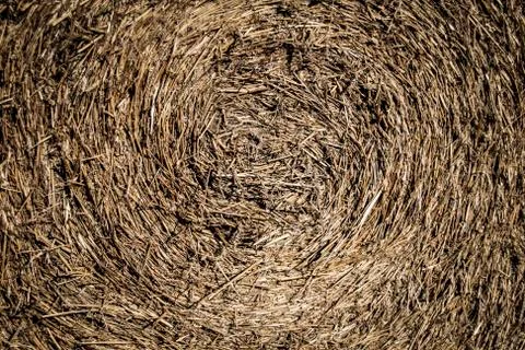 Close up of hay bale lying in open country in north Germany Stock Photos