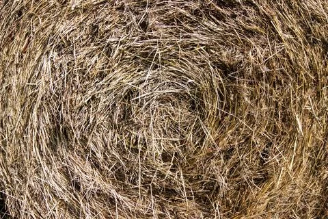 Close up of a hay bale tangled in a circle Stock Photos