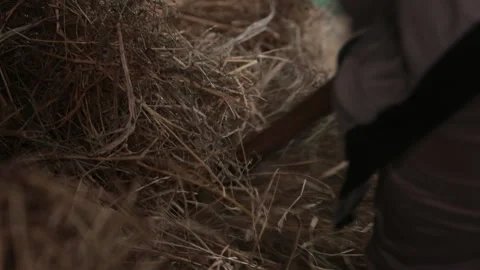 Close-up hay, farm tool, pitchfork visible Stock Footage 301230165