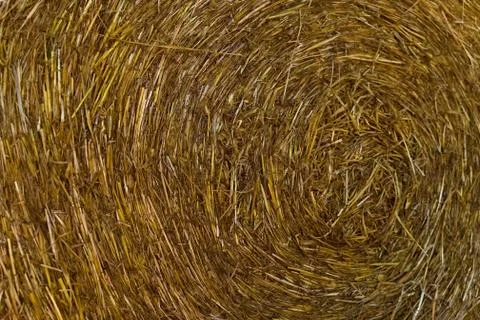 Close up of hay 库存照片