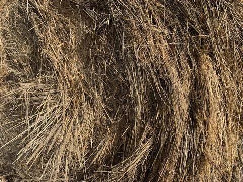 Close up of hay Stock Photos