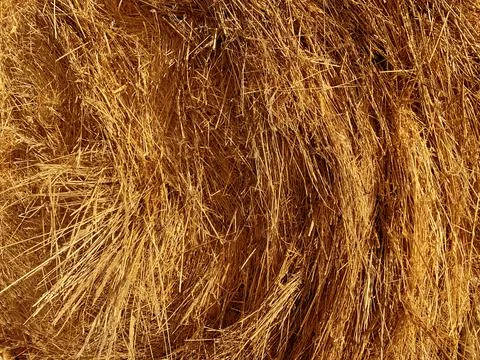 Close up of hay Stock Photos