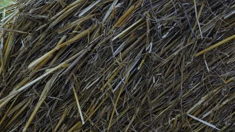 Close-Up of a Haystack with Intertwined Straw Stock Photos