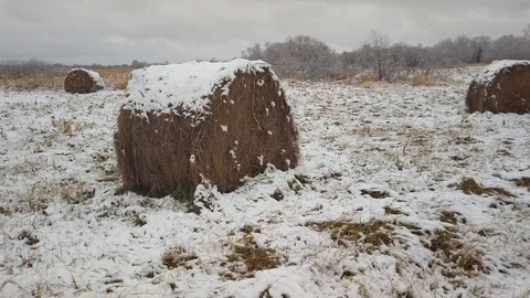Close-up of a haystack lying on a snow field. Vídeos de archivo 123093914