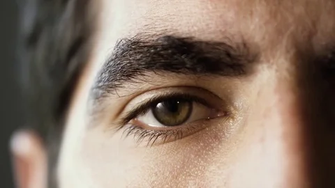 Close Up of Hazel Blinking Eye Stock Footage 84069897