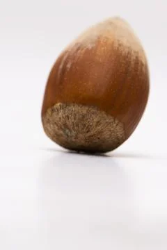 Close up of hazelnut with the shell isolated on white background Stock Photos