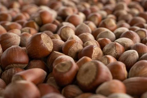 Close up hazelnuts. Hazelnut composition and backgorund. Stockfoto's