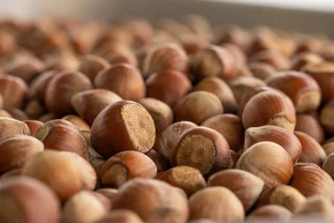 Close up hazelnuts. Hazelnut composition and backgorund. organic natural food Stockfoto's