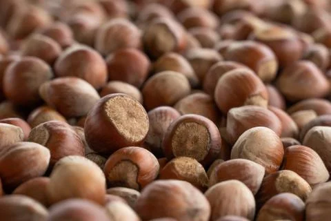 Close up hazelnuts. Hazelnut composition and backgorund. Turkish hazelnuts Foto stock