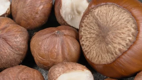 Close-up hazelnuts. Nuts in the peel. Nut kernels. Extreme macro. 動画素材 141338150