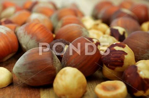 Close up of hazelnuts Stock Photos