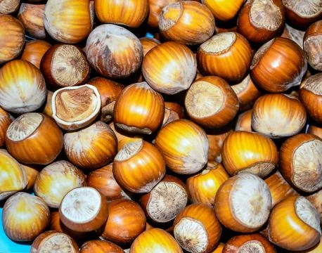 Close up hazelnuts surface showing natural nut texture and organic food detai Stock Photos