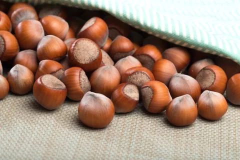 Close up of hazelnuts on table - Image Stock Photos