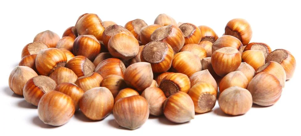 Close up of hazelnuts walnut Stock Photos