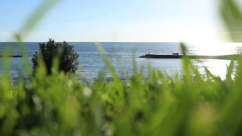 Close-up HD video of the meadow near the beach with a fisherman. Stock Footage 98564329