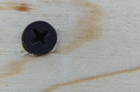 Close-up of the head of a black self-tapping screw screwed into a wooden board. Foto stock
