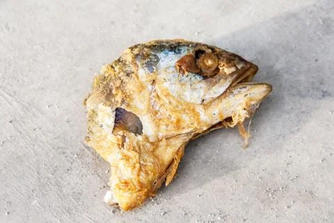Close up head mackerel fried isolate on cement Stock Photos