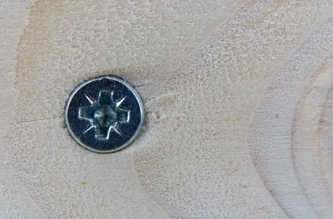 Close-up of the head of a silver galvanized self-tapping screw in a wooden board Stock Photos