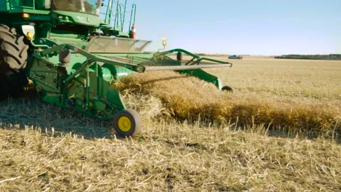 Close-up of a header on a combine during a canola harvest: Legal, Alberta, Canad Stock Footage 163180900