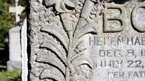 Close-Up Of A Headstone Stock Footage 42705346