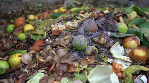 Close-up of heap organic compost with green waste. Process which makes natural Stock Footage 249842021