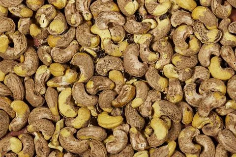 Close-Up Heap of Raw Cashew Nuts With Brown Skin Texture and Natural Yellow Kern Stock Photos