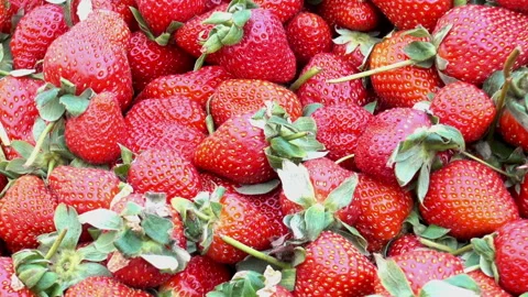 Close-up of a heap of red strawberries Stock Footage 86416066