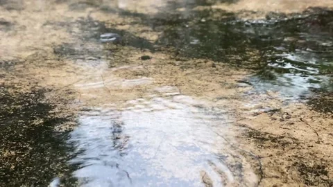 Close-Up Heavy Rain Falling on the Floor. Stock Footage 229232277