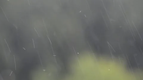 Close up of a heavy rain Stock-Footage 52962875