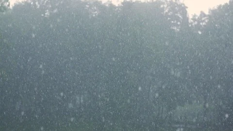Close up of heavy rain Stock Footage 112084576
