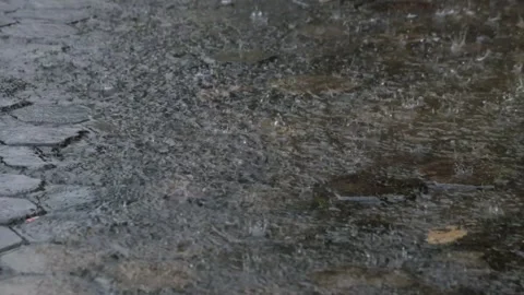 Close up of heavy rain in the yard in the afternoon Stock Footage 323150689