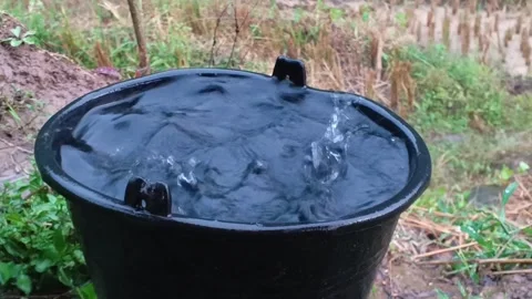 Close Up of Heavy Raindrops Falling into Black Plastic Pail Outdoor at Rice Fiel 動画素材 321934296