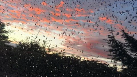 Close-up of heavy raindrops on a glass surface reflecting a beautiful twilight Stock Photos
