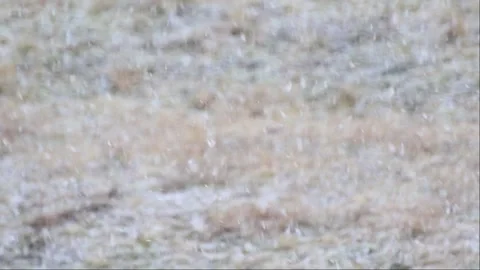 Close Up of Heavy Snowflakes Falling Rapidly During Winter Blizzard Stock Footage 328639355